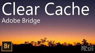 How to Clear Cache with Adobe Bridge 2024 | #AdobeBridge #Workflow #Maintenance #DataManagement