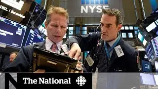 Stock market volatility highlights realities of investment