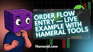 ORDER FLOW TOOL ENTRY LIVE EXAMPLE &mdash; VAL/POC, VWAP, CD Divergence