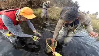 Tenkara Fishing on Baum Lake, 11/25/18