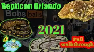 Repticon Orlando 2021, most beautiful and awesome Reptiles  (Full Walkthrough)