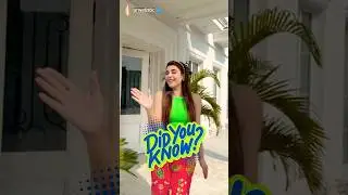 Urwa Hocane&rsquo;s Stunning Transformation ✨ #hungamaexpress