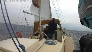 WESTERLY RENOWN 28 KNOTS