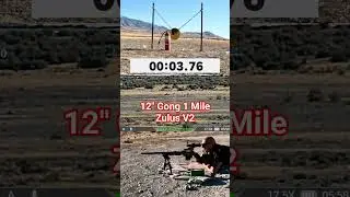 12-дюймовый гонг на 1 милю с DNT ZULUS V2