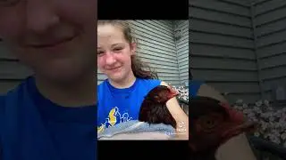 Yesterday&rsquo;s fair update! One day! Chicken bath time! #cwsf