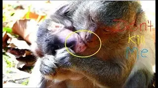 You Will Cry While Watching Jade Bite Baby Julina So Hurt | Bad Mom Fight Her Baby Until Cry Hurt