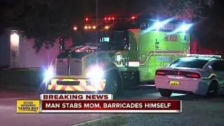 Man stabs mother multiple times with screwdriver