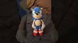 My Sonic Plush Toy Coming to Life