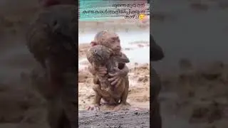 sad Moments is not about love failure, or job drops.. it's about live.. we cannot get back