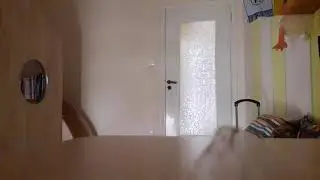 toilet skibidi