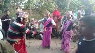 जाजरकोट, कुदुको सिङ्गारु नाच ।