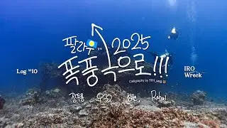팔라우 'IRO Wreck' #10 (2025년 8월 8일)