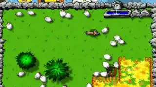 Fellow Sheep