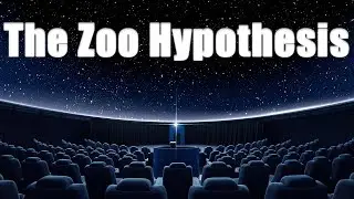 The Zoo Hypothesis