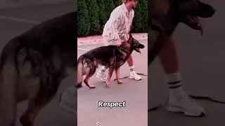 #respect #jokes #uk #funny #usa #love #interview #shortsfeed #edit #golden #viral #shorts #foryou