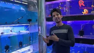 Water World Fish Aquarium Again New Planted Fish Stock Available Best Price 