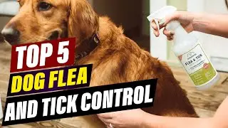 Affordable Flea and Tick Prevention for Dogs: Budget-Friendly Options
