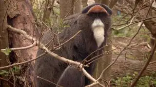 3net Feeding Time 7 Minute Video