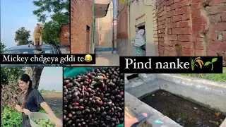 Pind nanke🌾🌱 boht chiraa baad gye🥹 saade khet🌾