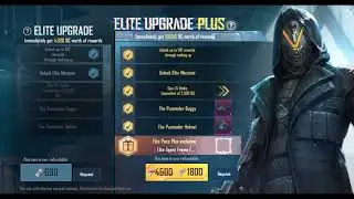 Season 11 Royal passed SL VIPER