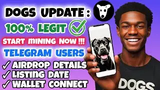 Dogs Update: Join Dogs and Claim Rewards | Dogs Airdrop Details and Launch Date | Dogs Token