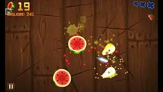 un vecchio gioco dove devi essere un samurai di frutta-fruit ninja