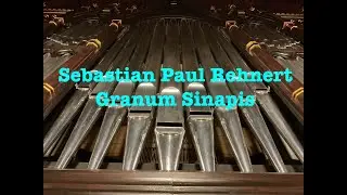 Granum Sinapis (Rehnert)