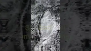 First Evidence of the Apocalypse Discovered: Could History Repeat | Ancient Codex