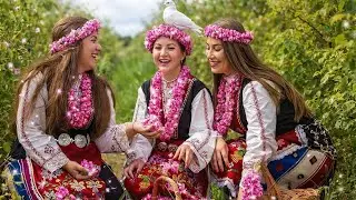Have You Seen the Breathtaking Spring Roses of Qamsar, Iran? 🌹| Hidden Tourist Spots