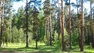 Санаторий 