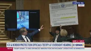 Senators Breakdown Alex Pretti Shooting Video with ICE & CBP Officials