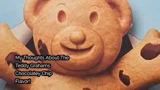 Happy Tuesday And My Thoughts About The Teddy Grahams Chocolatey Chip Flavor!