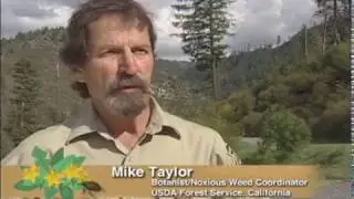 Dangerous Travelers Controlling Invasive Plants Along America's Roadways