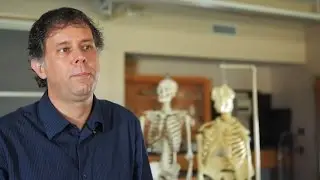 2-Million-Year-Old Fossils Reveal Hearing Abilities of Early Humans