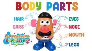 Learn Body Parts with Mr.Potato Head for Kids l Learn Parts of The Body l Kids Learning Video