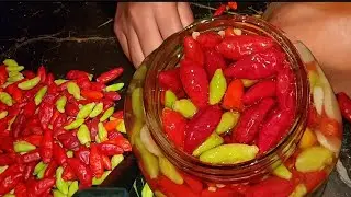 Making Lime Pepper Sauce and Home Made Chicken, Smoke Herring, and Potato Pies