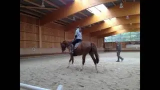 Reitkurs mit J&ouml;rg B&ouml;s im HUF-Aktivstall Reitanlage Triftern