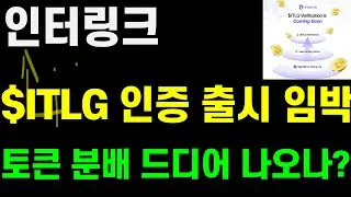 인터링크 $ITLG 인증 출시 임박! 토큰 분배 드디어 나오나?