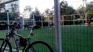 VID 20130730 184313