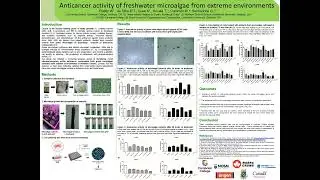 NHRC 2024 Theme 2 Anticancer activity of freshwater microalgae SenhorinhoWR