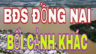 THỊ TRƯỜNG BĐS ĐỒNG NAI 2025 - LƯU &Yacute; #BDS2025 #DONGNAI2025