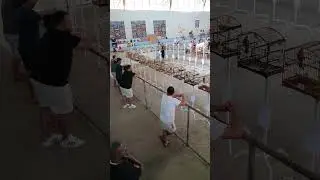 Fechamento da Roda no Festivo de 10 anos da SOCAP Cordeiro/RJ - 11/01/2026