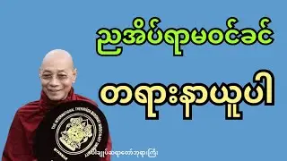 ညစဉ်ဖွင့်၍ တရားနာရင်း စိတ်အေးချမ်းစွာ အိပ်စက်အနားယူပါ | ပါချုပ်ဆရာတော်ဘုရားကြီး #buddha