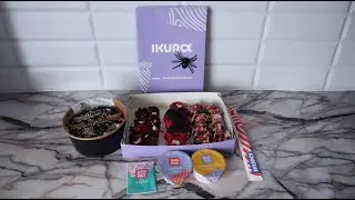 IKURA Chernihiv &ndash; Ukrainian Halloween Food That&rsquo;ll Blow Your Mind! | Aesthetic | Atmospheric