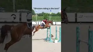 English or Western? #horse #studjump #horsefan #equestrian #showjumping #equestrain #western