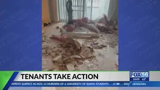 Lexington tenants speak out about apartment conditions: 'This is unlivable'