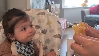 Furious Mango monster  ! (he get very angry!!)