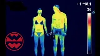 Wer friert schneller: Frauen oder Männer? - Welt der Wunder