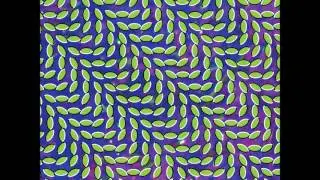 Animal Collective - Daily Routine