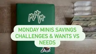 Cash Stuff For My Boys Futures || New Wants vs Needs Binder || Savings Challenges 